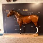 2019_OTRA_0630 (September 01, 2019)